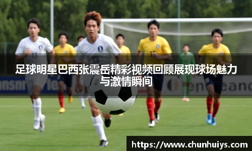 足球明星巴西张震岳精彩视频回顾展现球场魅力与激情瞬间